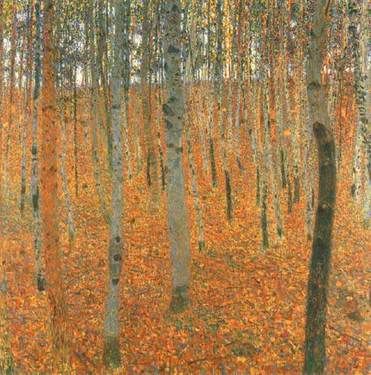 The Forest