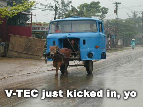 VTEC Just Kicked In Yo !.post your funny pics.