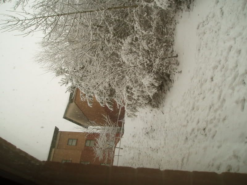 P2080054.jpg