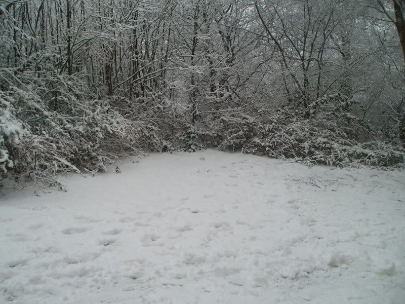 P2080055.jpg