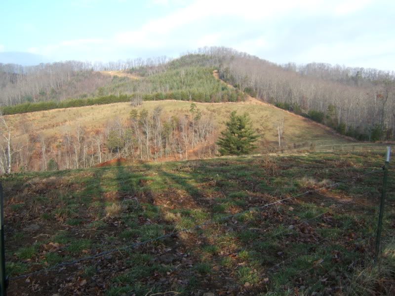 DSCF4516.jpg