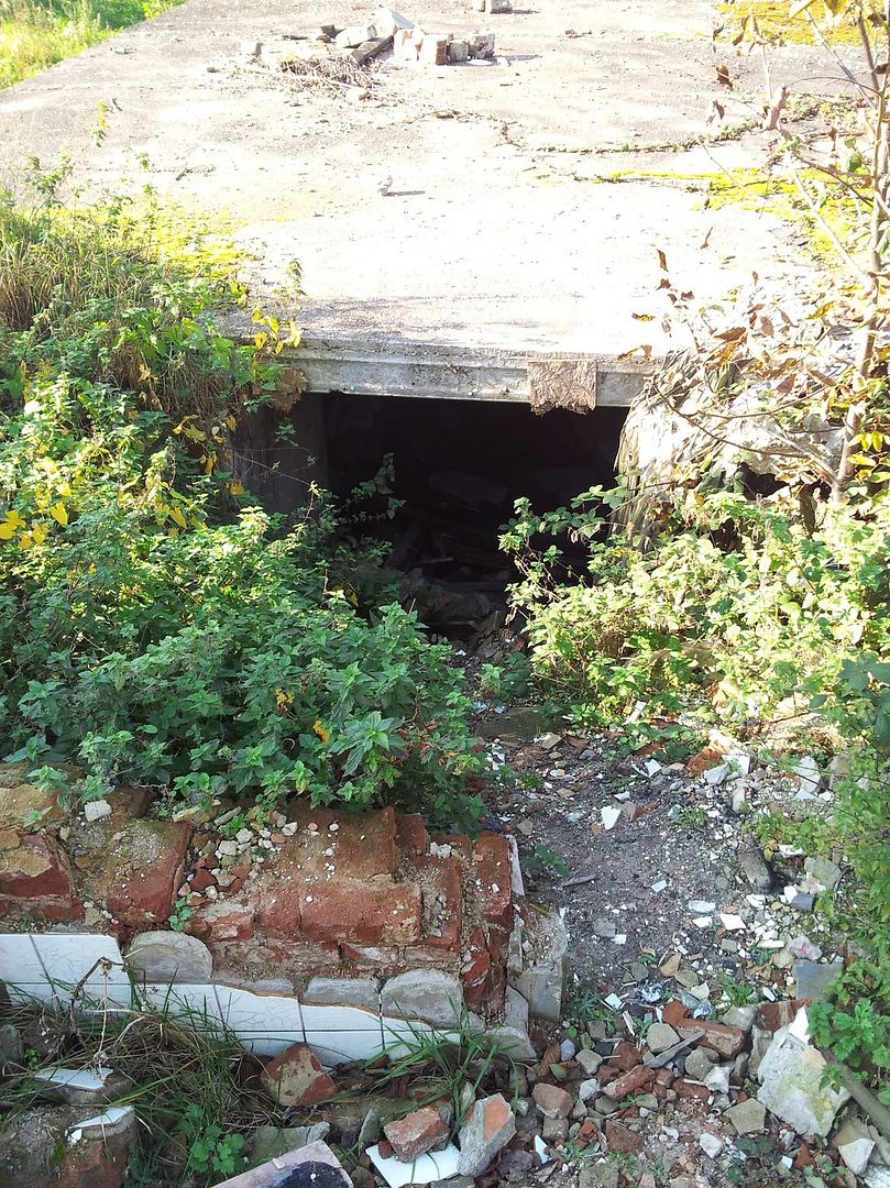 20111031_124518.jpg