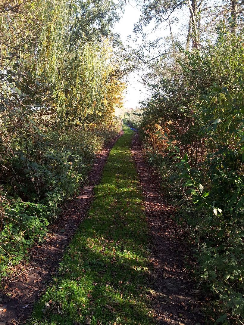 20111031_140734.jpg