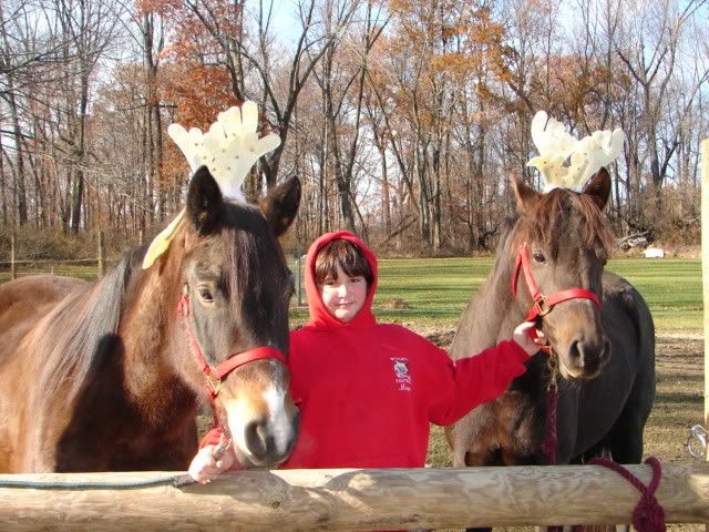 Christmas Pics - Goats