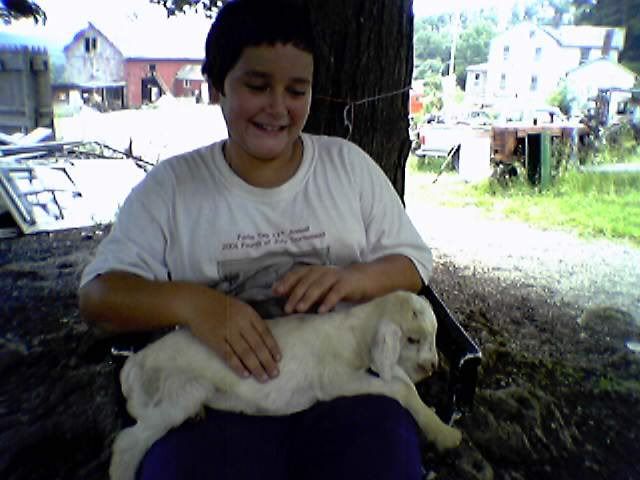 pics of new goat - Goats