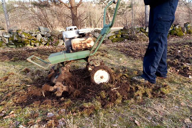 Trädgårdslandet