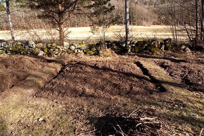 Trädgårdslandet
