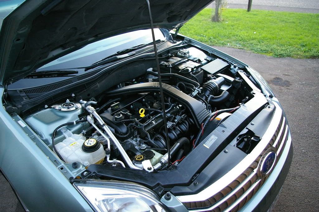 Cleaned Engine Bay (Pics) | FordFusionClub.com