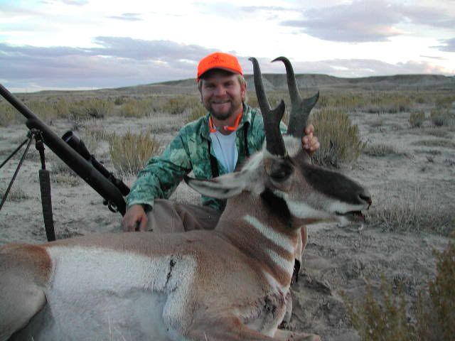 antelope2.jpg