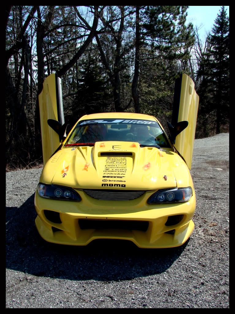 http://i17.photobucket.com/albums/b63/ctnewman3/95Mustang09.jpg