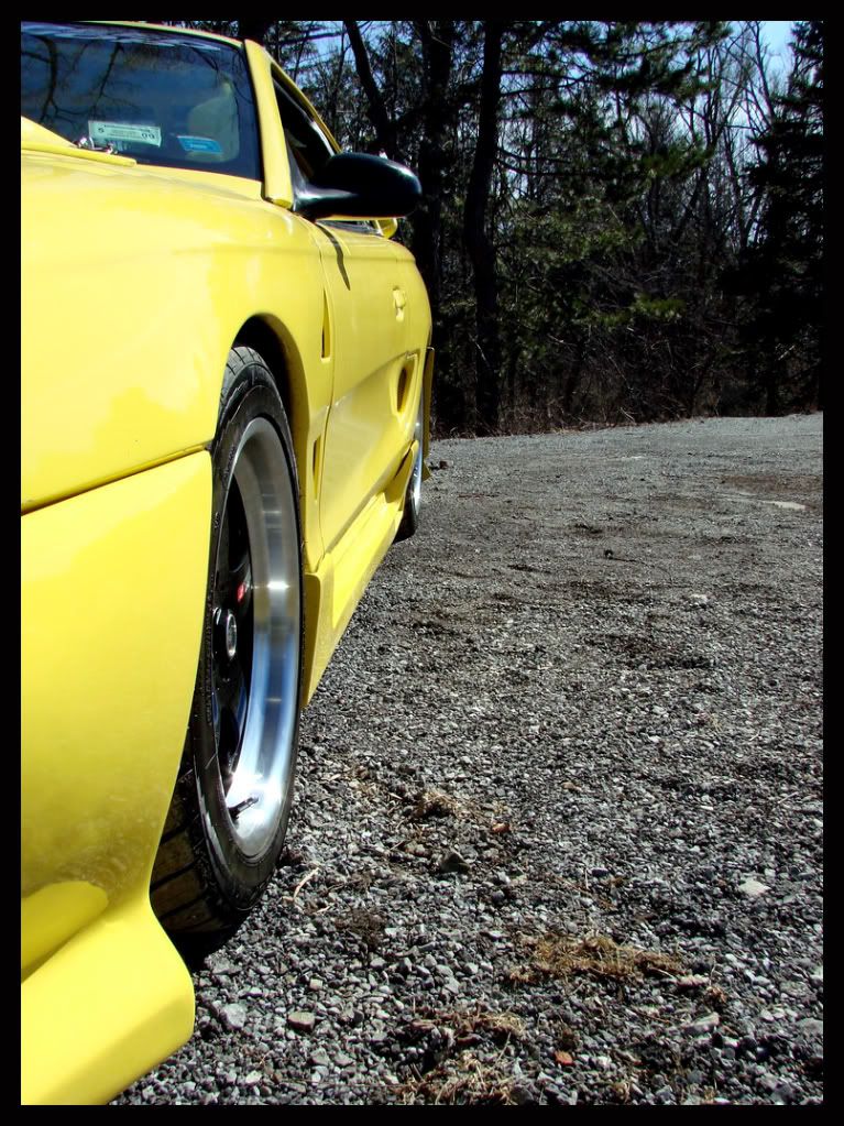 http://i17.photobucket.com/albums/b63/ctnewman3/95Mustang15.jpg