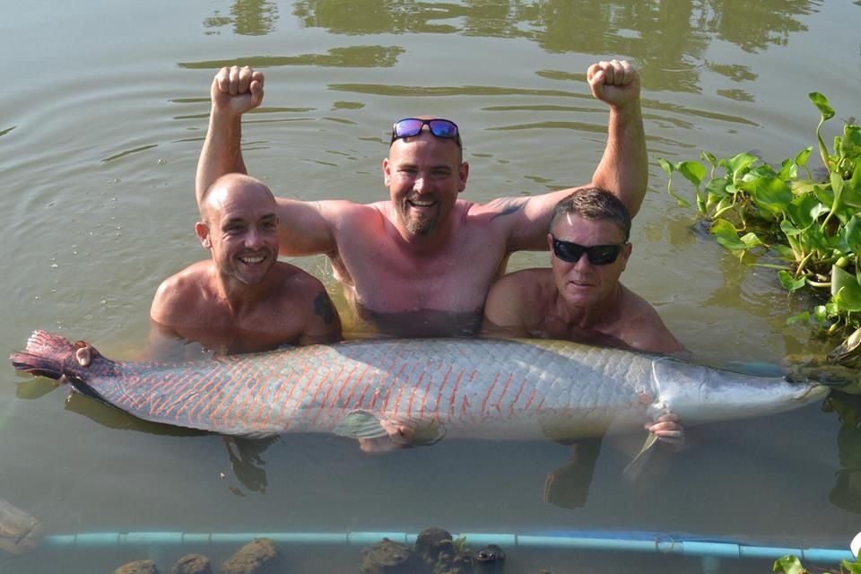 arapaima_zps7b6c82e3.jpg