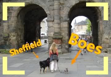 Afbeelding