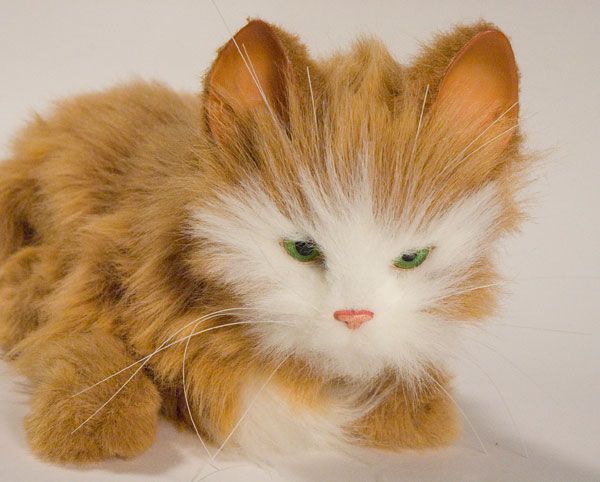 furreal friends cat ebay