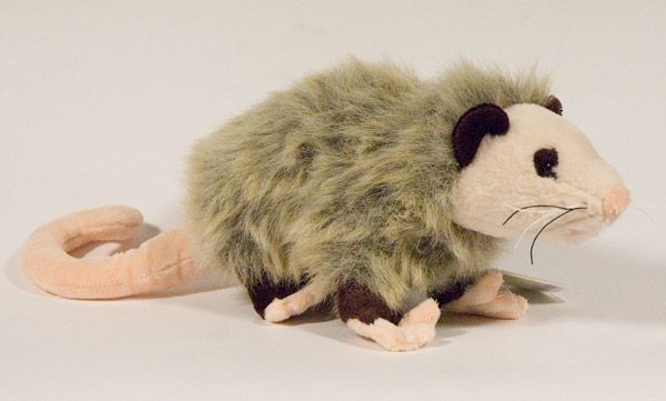 possum webkinz