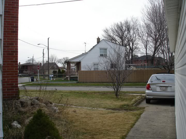 opinions wanted for landscaping corner lot front yard