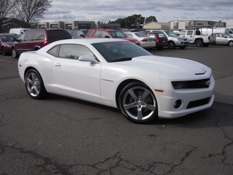 whitecamaro028.jpg