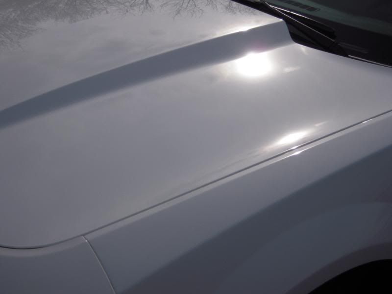 whitecamaro035.jpg