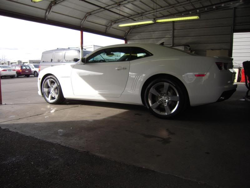 whitecamaro044.jpg