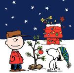 charliebrown2_zps88a14f70.jpg