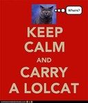 keep-calm-lolcat_zps4e84d81a.jpg