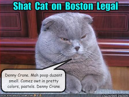 DennyCranecat.jpg