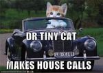 Dr-tinycat-av2_zps16d6825c.jpg