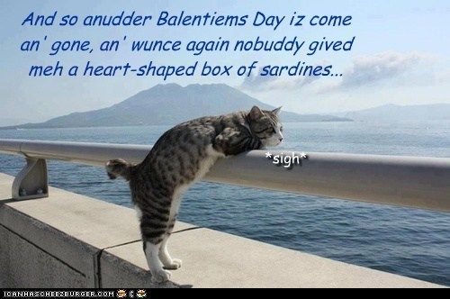 heart-shaped-box-of-sardines_zps2e12dfc2.jpg