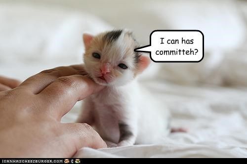 i-can-has-committeh_zpse6870e25.jpg