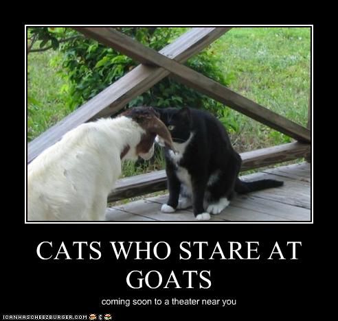 cats-who-stare-at-goats.jpg