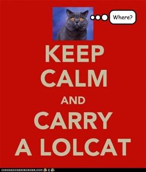 keep-calm-and-carry-a-lolcat_zpsa658dd95.jpg