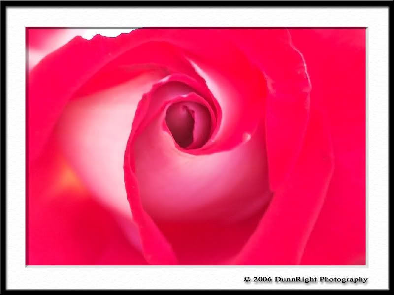 IMAGE: http://i17.photobucket.com/albums/b67/HerbD/Flora/1321Framed.jpg