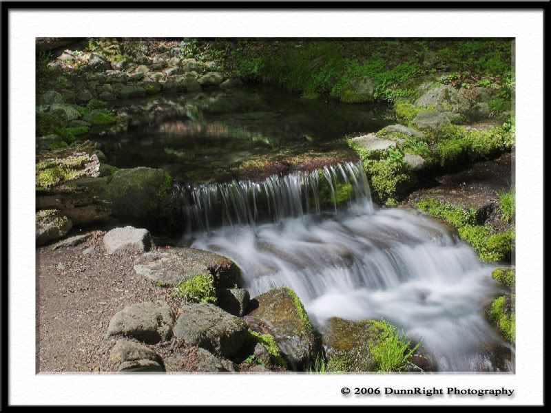 IMAGE: http://i17.photobucket.com/albums/b67/HerbD/Nature/1400Framed.jpg