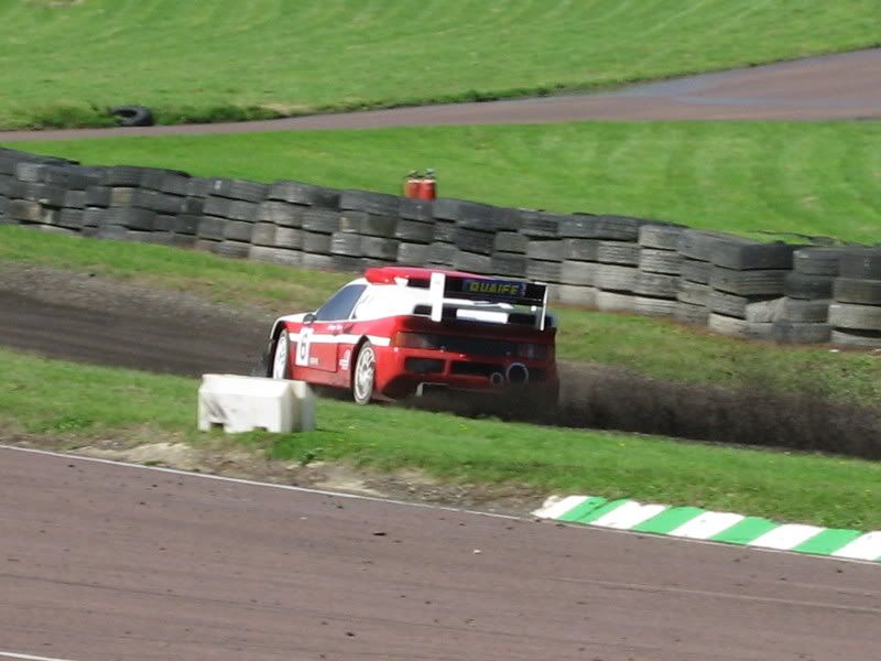 IMG_0972.jpg