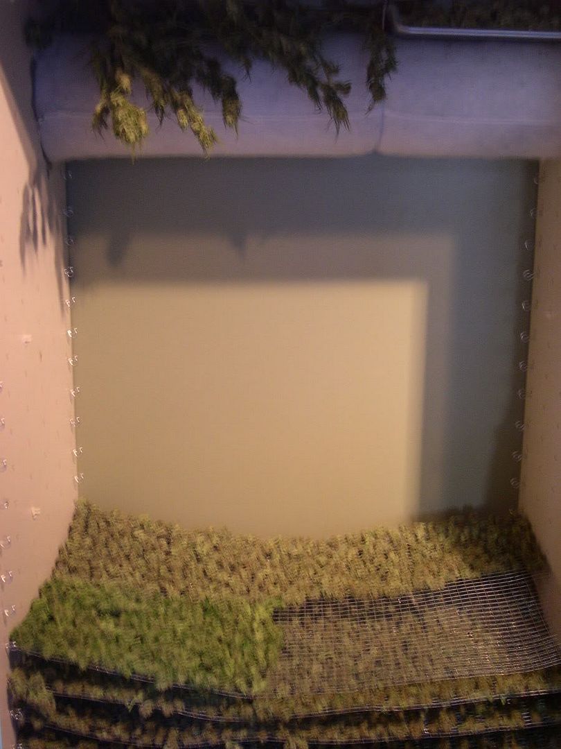 [img width=480 height=640]http://i17.photobucket.com/albums/b69/apeldoorn/DSCN2691.jpg[/img]