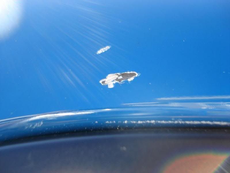 Paint chip on hood question.. *pics* E46 Fanatics Forum