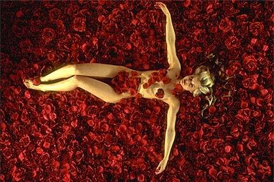 American Beauty Pictures, Images and Photos