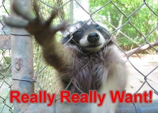 reallyreallywant.jpg