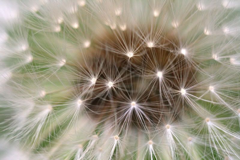 IMAGE: http://i17.photobucket.com/albums/b70/porgers/2-4.jpg