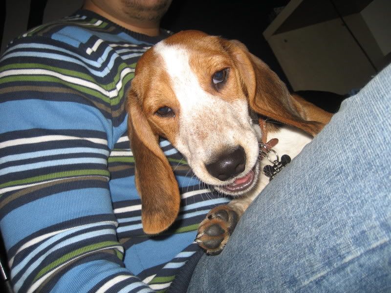 IMAGE: http://i17.photobucket.com/albums/b70/porgers/Bandit/Bandit010.jpg