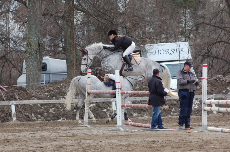 NorrviddenHorsefestival003.jpg