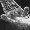 hammock.gif Morrow Days image by Darktouch