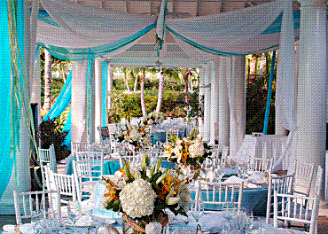 blue Pictures, Images and Photos