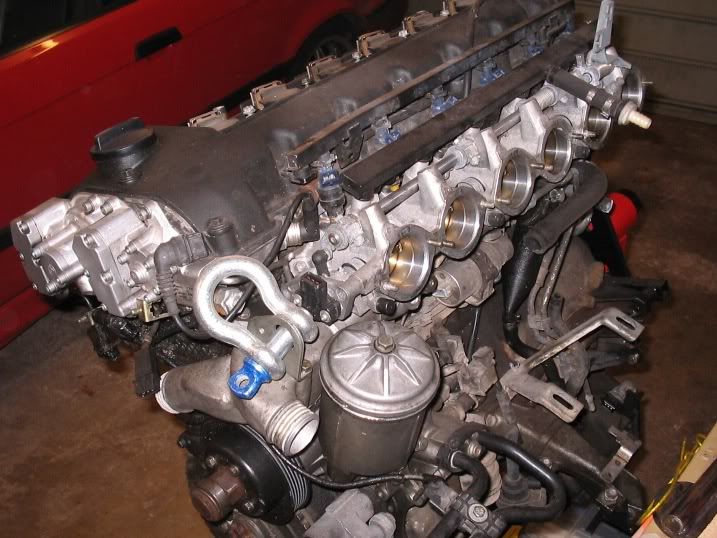 IMG_0500.jpg?t=1249046435