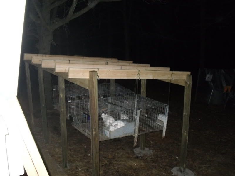 Suspended Outdoor Rabbit Hutch Question... How High off the ground