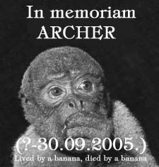 IN MEMORIAM: ARCHER