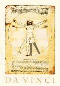 Vitruvian Pirate