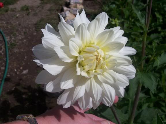 Photobucket - Video and Image Hosting