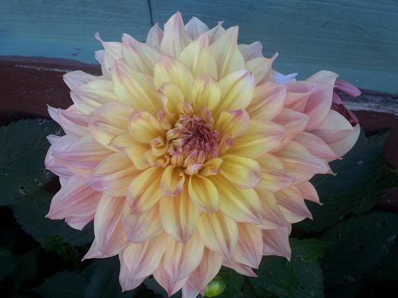 Photobucket - Video and Image Hosting