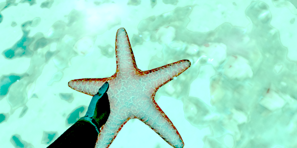 photo 4f61afb2-aac5-4fa4-80ff-e6dd6125f5d4_zps2ujz5tvq.png
